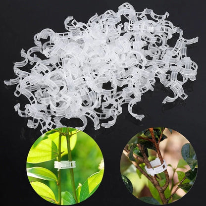 🔥Last Day 49% OFF☘️Plant Support Clips🌙