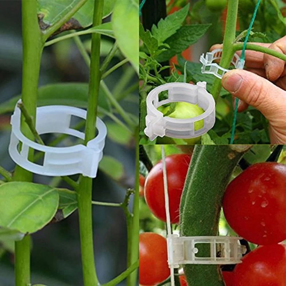 🔥Last Day 49% OFF☘️Plant Support Clips🌙