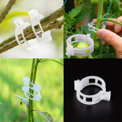 🔥Last Day 49% OFF☘️Plant Support Clips🌙